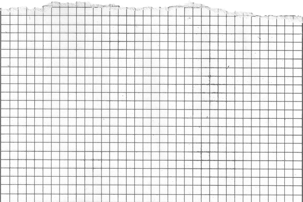 Black and White Graph Paper with One Straight Ripped Edge 